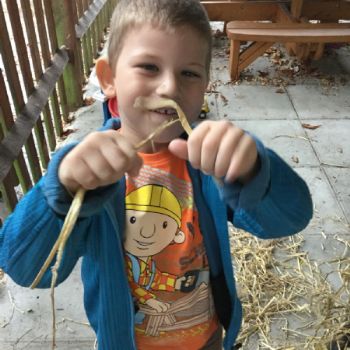 harvest 2017 (25)